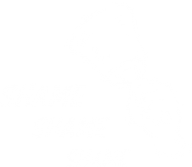 Чехол из раздела Игра престолов Shame Shame Shame для Xiaomi Redmi 12 2