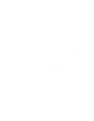 Чоловічі шорти Mr. right 2