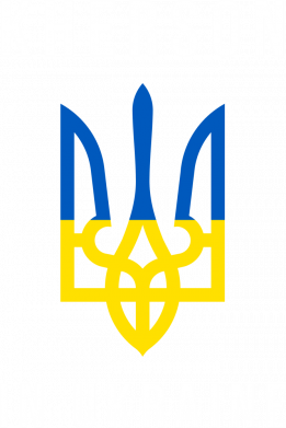 Футболка оверсайз FATLINE Херсон це Україна 2