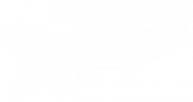 Майка-тельняшка рыба силуэт 2