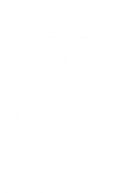 Чохол з розділу Арти по вантажівках Play dalnoboy для Xiaomi Redmi Note 9 5G/Redmi Note 9T 2