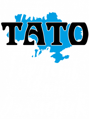 Принт Дитяча футболка Мій тато - мій Захисник!, Фото № 2 - FATLINE