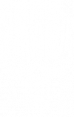 Чехол из раздела The Punisher Каратель для Xiaomi Redmi Note 8 2