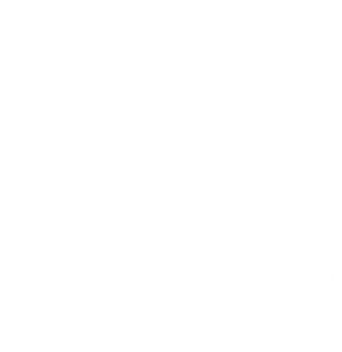 Чехол из раздела Аниме Gintama для Xiaomi Redmi Note 11 Pro/Note 11 Pro 5G/Note 12 Pro 4G 2