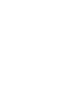 Шопер Євангеліо 2