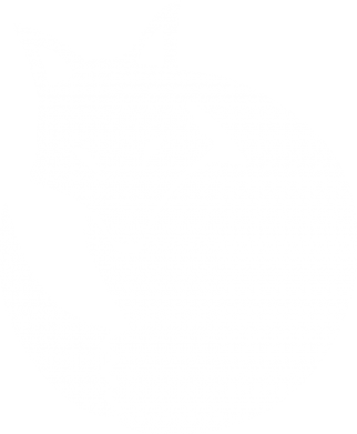 Принт Футболка премиум мужская FATLINE A fox, Фото № 2 - FATLINE