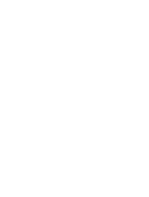 Чехол из раздела Ferrari Ferrari horse для Xiaomi Redmi 7 2