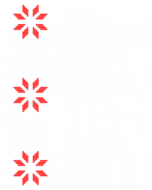 Худі преміум чоловіча Соняхи, вишивка 2