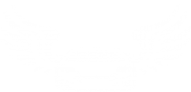 Чехол из раздела Infiniti Infiniti wings для Samsung S23 Ultra 2