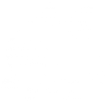 Принт Футболка премиум мужская FATLINE Catfish, Фото № 2 - FATLINE