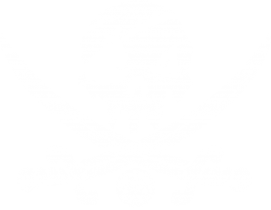 Футболка для собаки Flag pirate 2