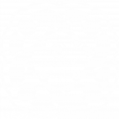Принт Прапор Автоклуб Skoda, Фото № 2 - FATLINE