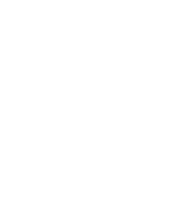 Чехол из раздела ФК Днепр Dnipro для Apple iPhone 15 Plus 2