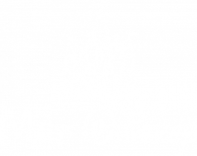 Мужская футболка Stedman Виски Замок 2