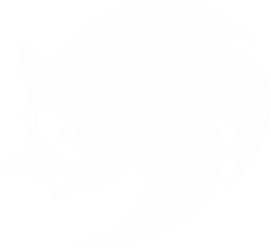Принт Футболка оверсайз FATLINE Sonic logo, Фото № 2 - FATLINE