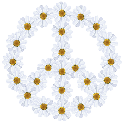 Жіноча футболка Знак миру з ромашок 2