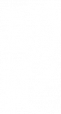 Худи унисекс Silhouette of a tiger 2