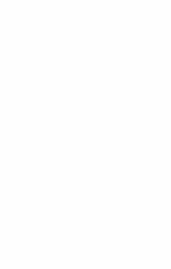 Шапка на флисе Emblem 22 2