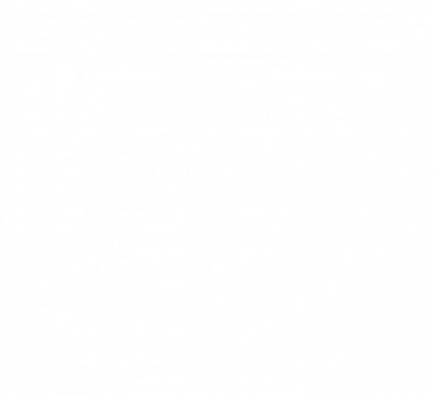 Свитшот унисекс Динамо Киев: мяч, колоски лого 2