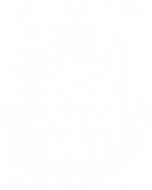 Принт Мужская футболка Stedman Call of Duty eagle, Фото № 2 - FATLINE