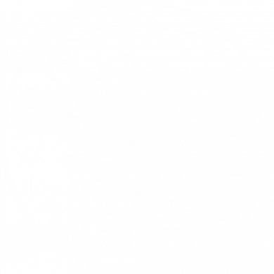 Футболка оверсайз FATLINE Sun in runes 2
