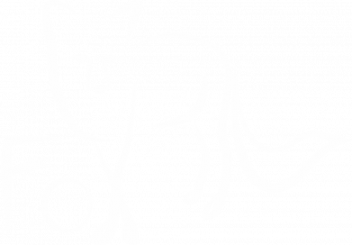 Шапка Fo vector 2