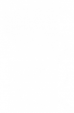 Женская футболка Cowboy bebop Spike Spiegel 2