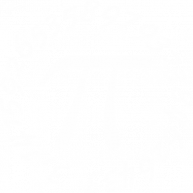 Чехол из раздела Авторские принты Число П для Samsung S9+ 2