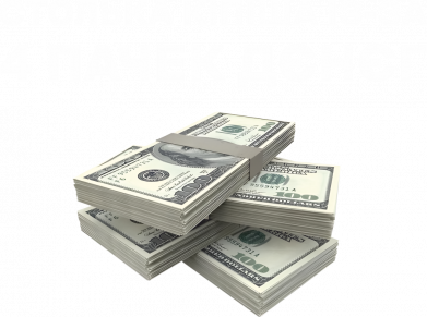 Мужская футболка Stedman 4 пачки денег 2
