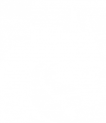 Футболка для собаки Team Spirit Logo 2