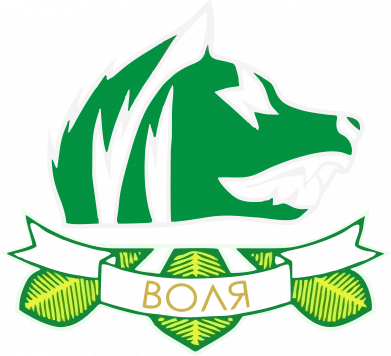 Женская футболка Группировка Воля Сталкер 2 2