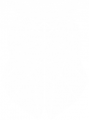 Принт Мужская футболка Stedman Geometric Owl, Фото № 2 - FATLINE