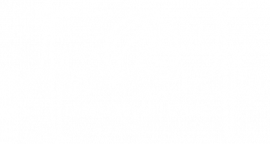 Принт Чоловіча футболка Stedman LIVE FOR VOLLEYBALL, Фото № 2 - FATLINE