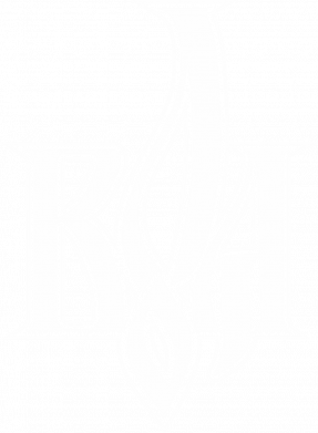 Снепбек Воля 2