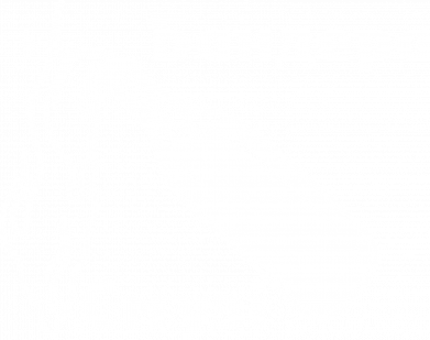Принт Значок Бандера Смузі, Фото № 2 - FATLINE