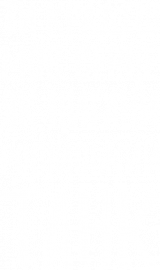 Чоловіча футболка Stedman Крадешь моє серце, як цигани танк 2