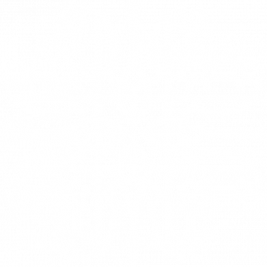 Футболка оверсайз FATLINE Герб України візерунок 2