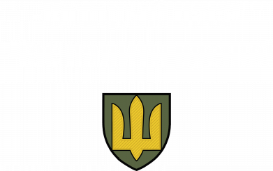 Мужская футболка Stedman ВСУ.Время палить русню 2