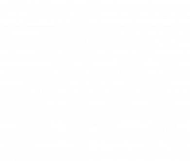 Жіночі труси Don`t touch my AUDI 2