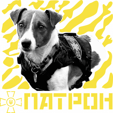 Дитяче худі Патрон ЗСУ 2