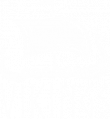 Шоппер Корабль викингов драккар 2