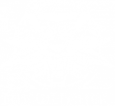 Зажигалка газовая The witcher wolf 2