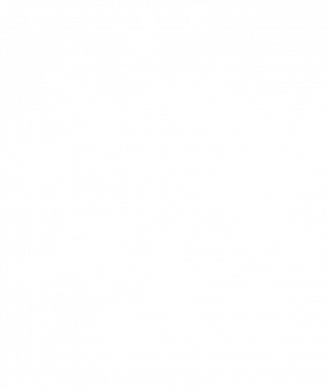 Футболка поло мужская Ластівки 2