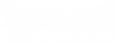 Мужские шорты Русофоб 2