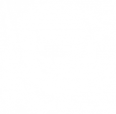 Мужская футболка Stedman Иноске Demon Slayer 2