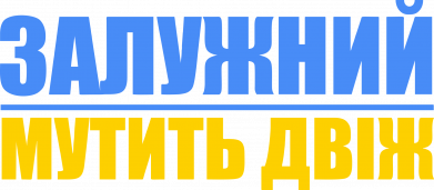 Мужская футболка Stedman Залужний мутит движ 2