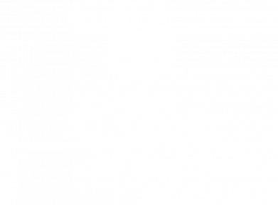 Мультитул Stray logo 2
