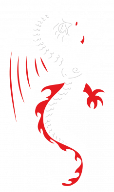 Повербанк 9000 mAh Unic Японський Дракон 2