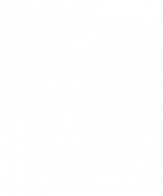 Мужская футболка Stedman ベルセルク 2