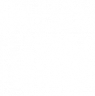 Шапка на флисе More Fan 2